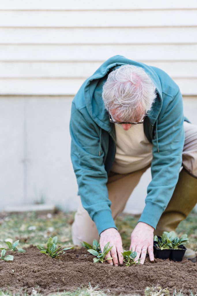 Mature man working in a community garden — finding purpose after retirement